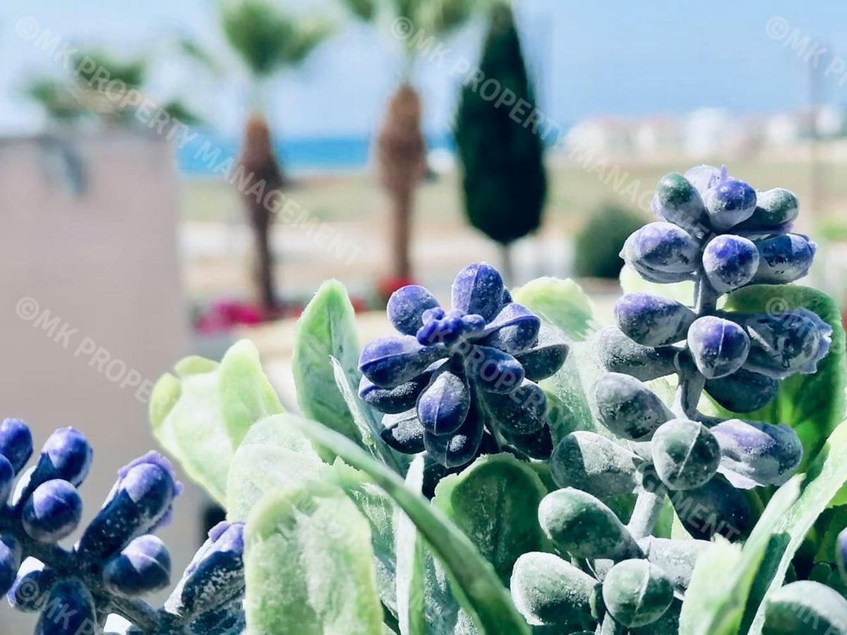 Lysia Sea-View Apartment Larnaca Esterno foto